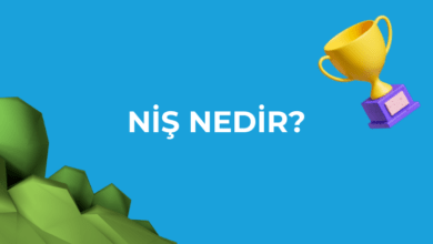 niş nedir? İnstagram Niş