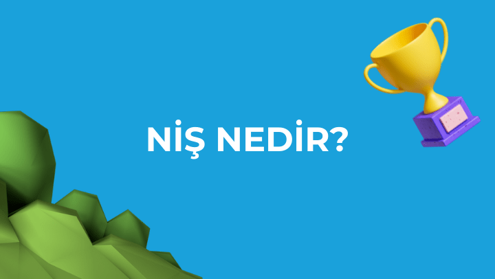 niş nedir? İnstagram Niş